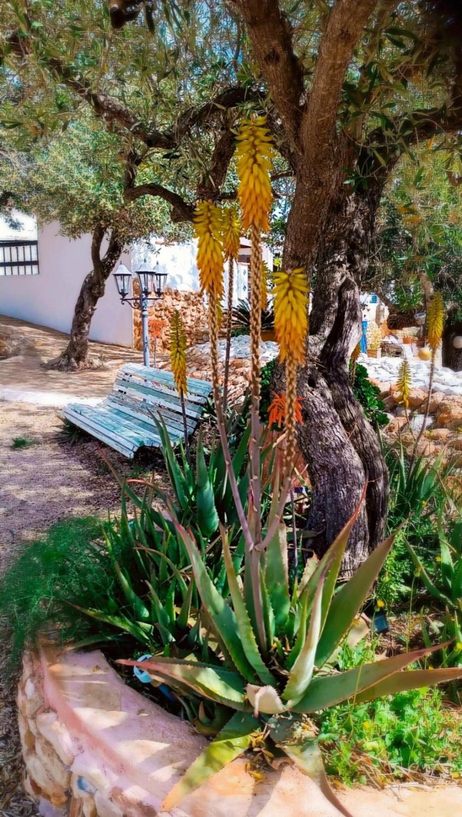 Flaire Mar Villa Tarragona Buitenkant foto